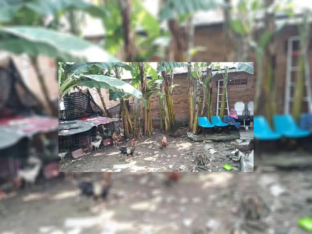 WhatsApp Image 2023-05-27 at 09.49.35.jpeg