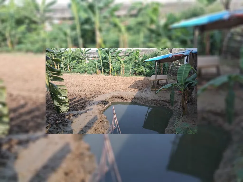 WhatsApp Image 2023-05-27 at 09.49.07.jpeg