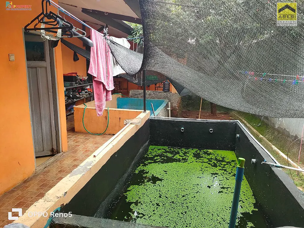 Uploaded file: 1000135168