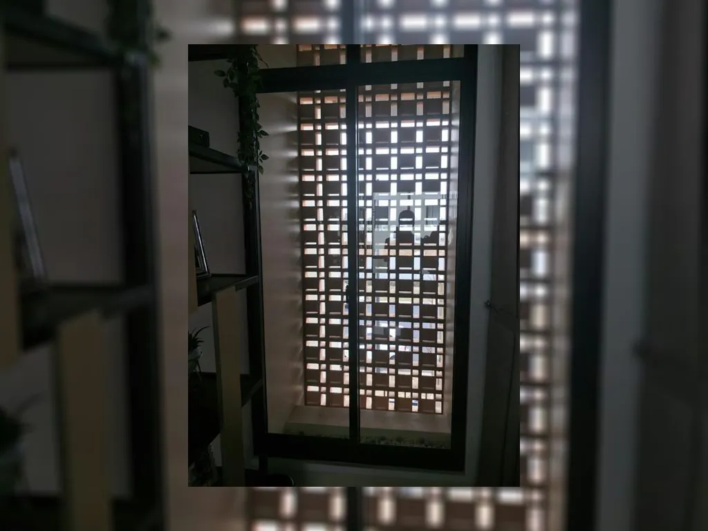 Cluster Emily type Elora (18).jpeg