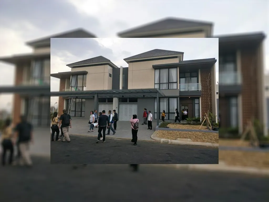 Cluster Emily type Elora (2).jpeg