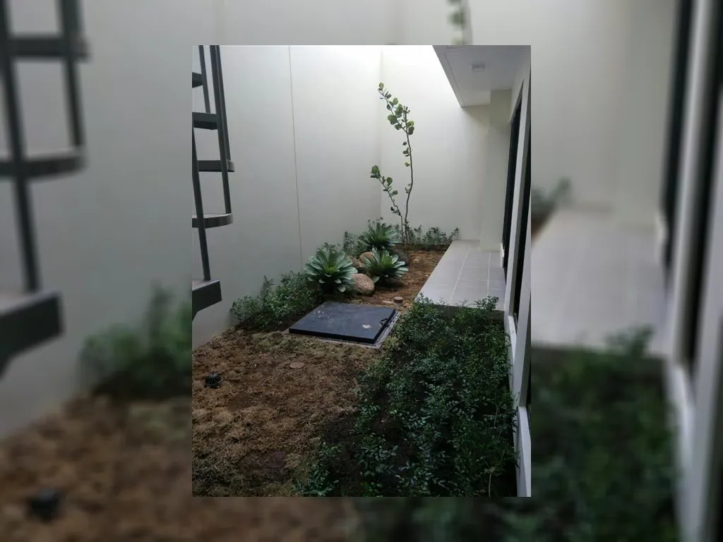 Cluster Emily type Elora (23).jpeg