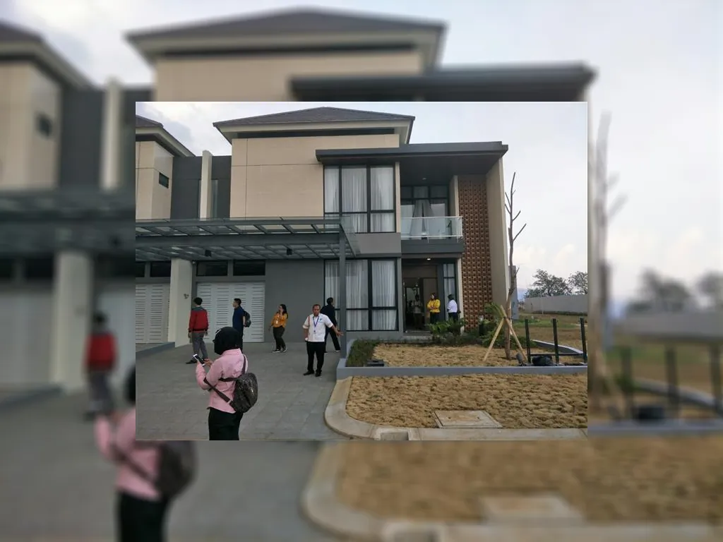 Cluster Emily type Elora (3).jpeg