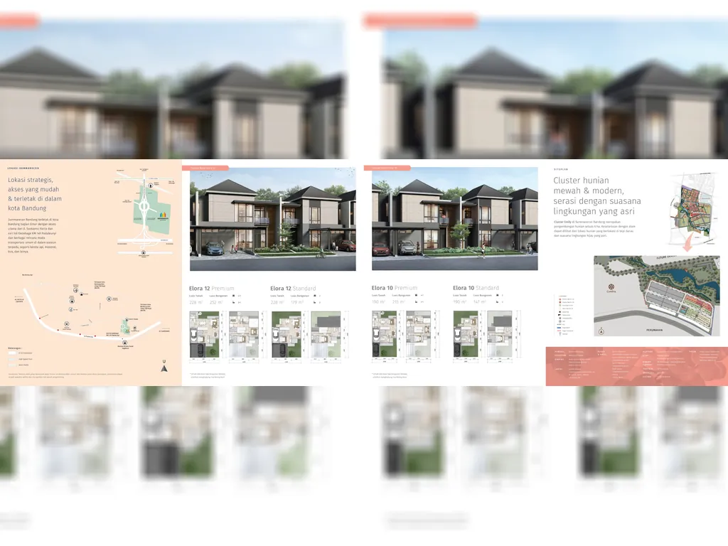 Cluster Emily type Elora (31).jpg