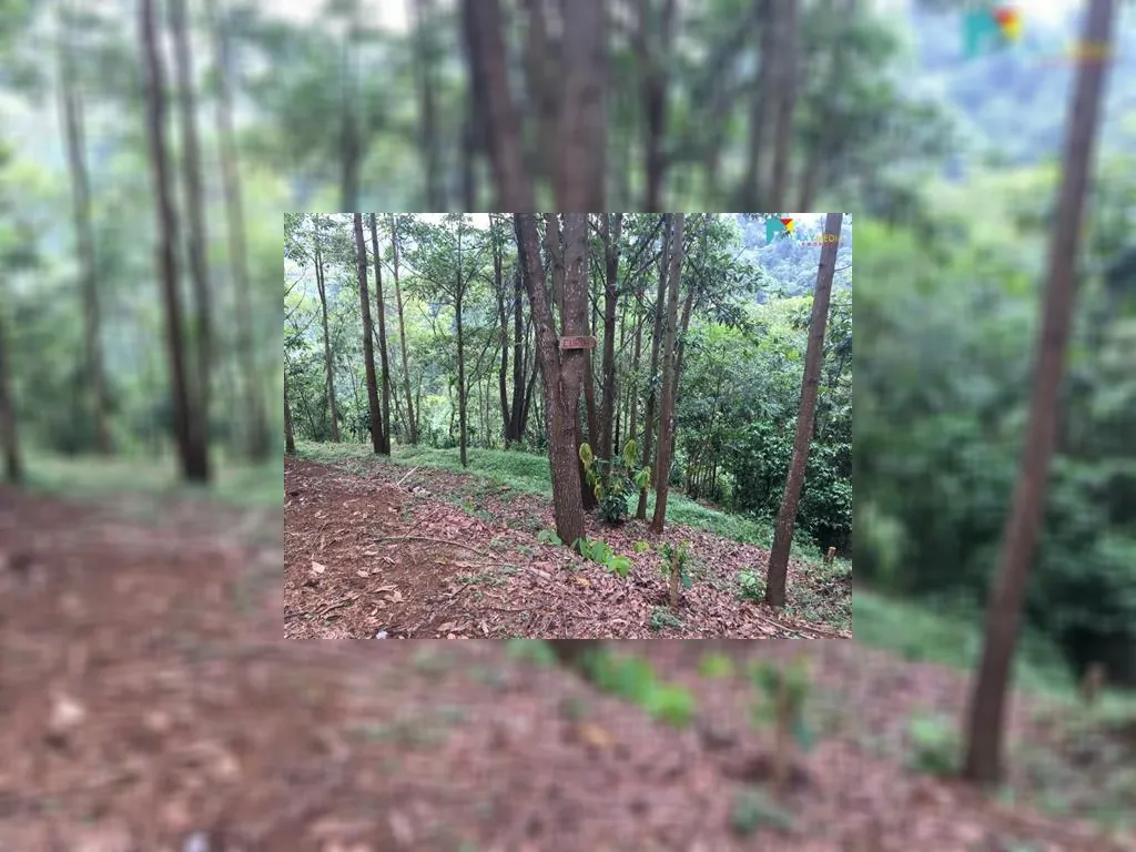 Dijual Tanah Murah Di Subang Cocok Untuk Pembangkit Listrik AIr Turbin Mikro Hydro