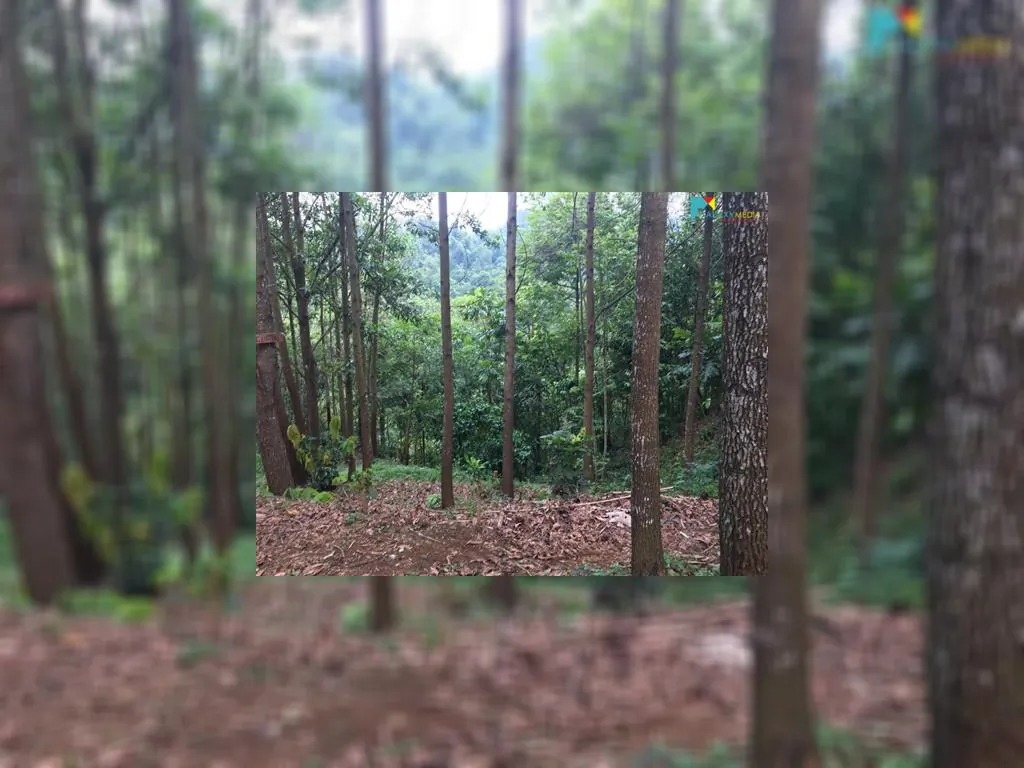 di jual tanah di sagalaherang subang (1).jpeg