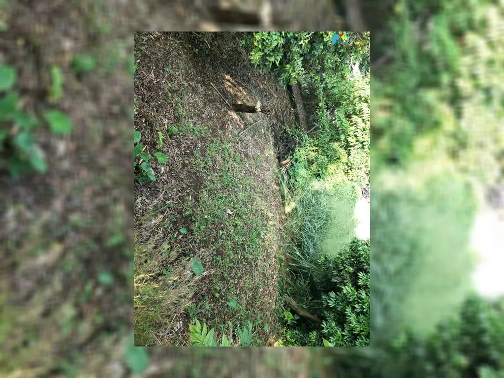 jual tanah di cigadung raya barat (8).jpeg