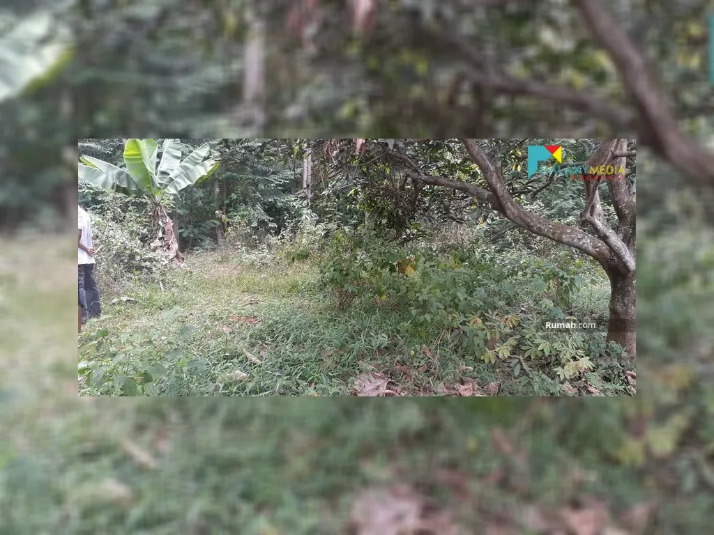 Tanah di subang (8).jpg