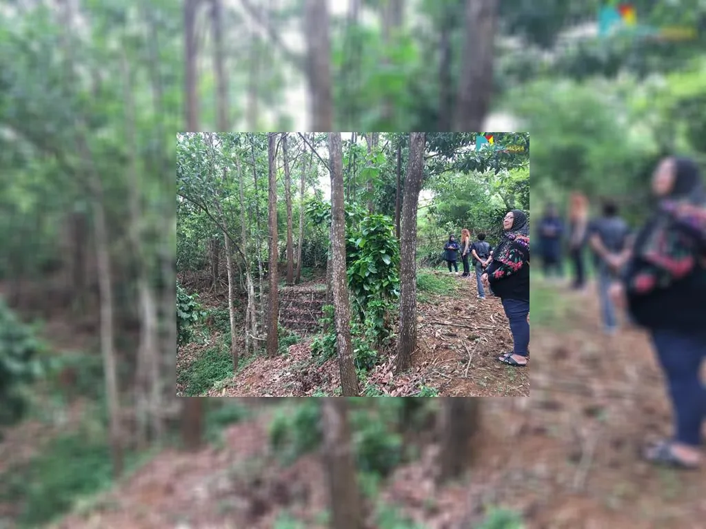 di jual tanah di sagalaherang subang (11).jpeg