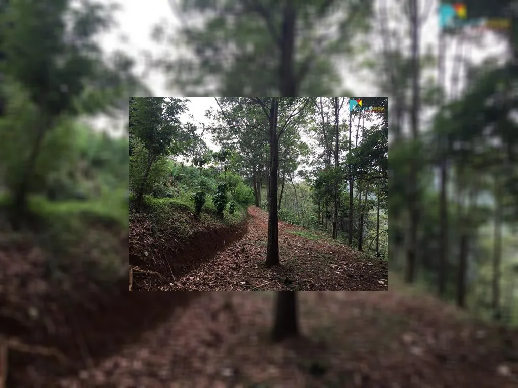 di jual tanah di sagalaherang subang (10).jpeg