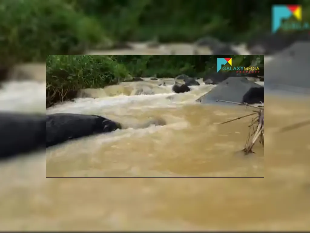 di jual tanah di sagalaherang subang (12).jpeg