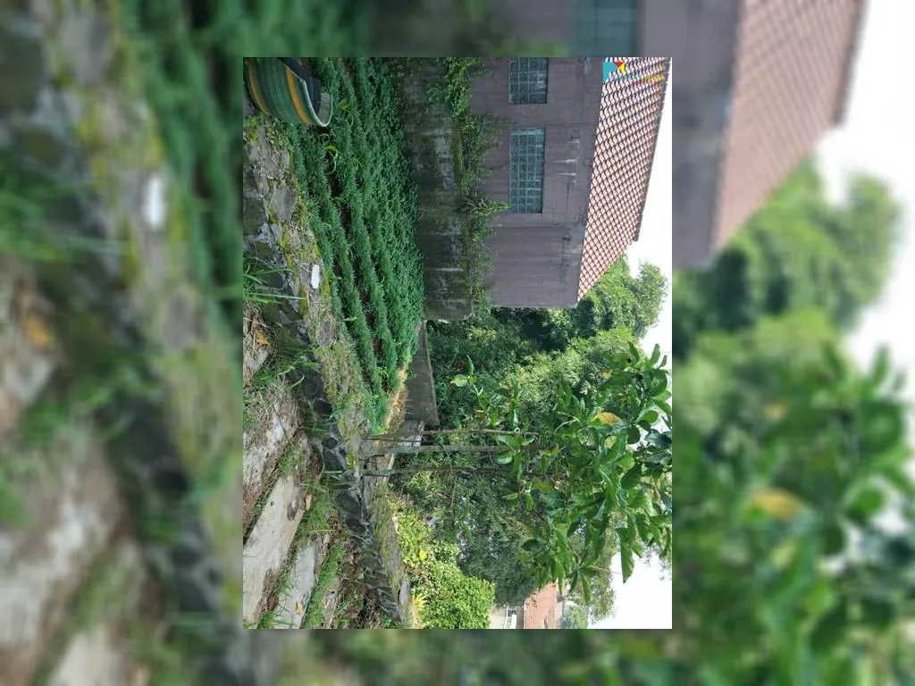 jual tanah di cigadung raya barat (10).jpeg