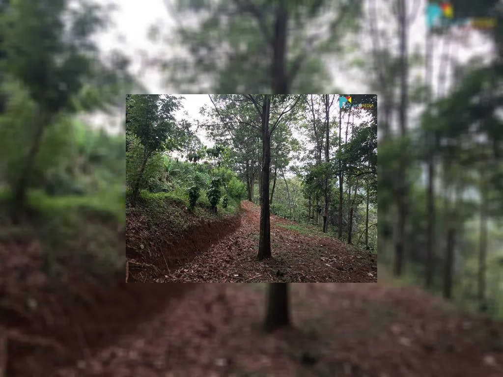 di jual tanah di sagalaherang subang (8).jpeg