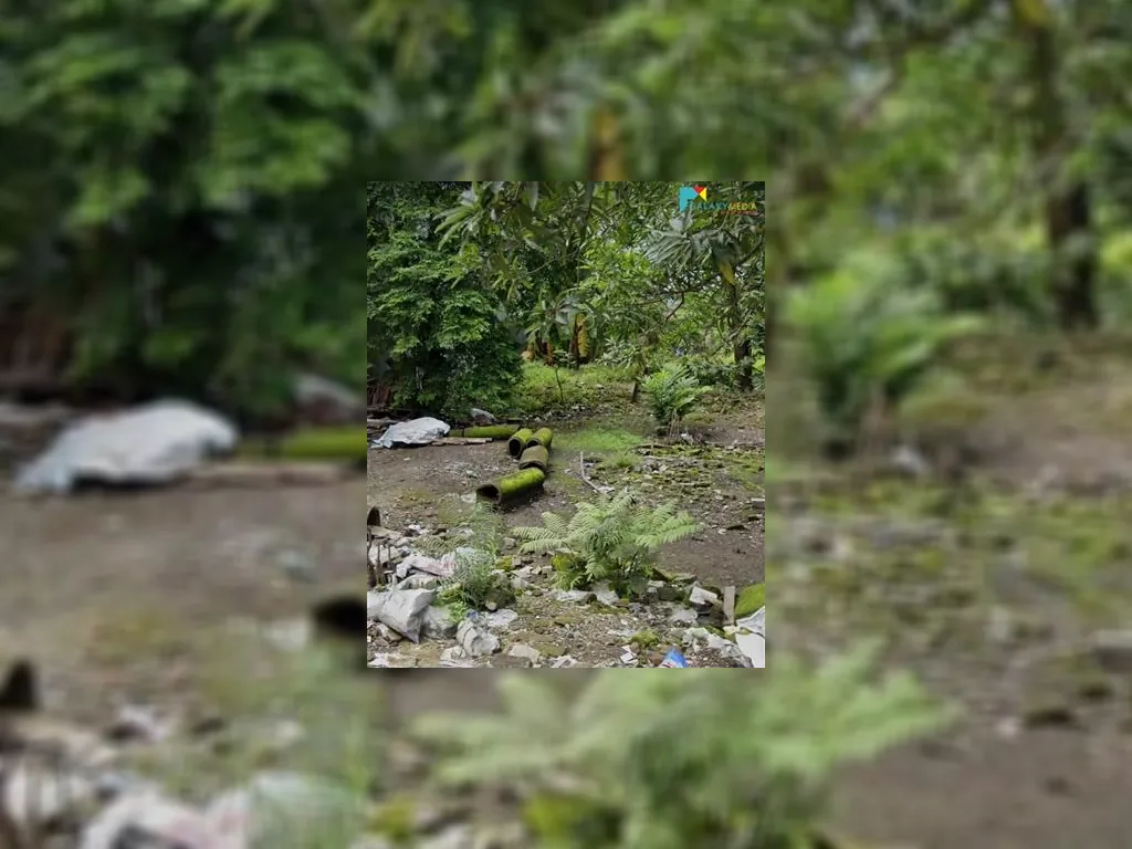 tanah dijual di gg brontokusuman mergasan (5).jpeg