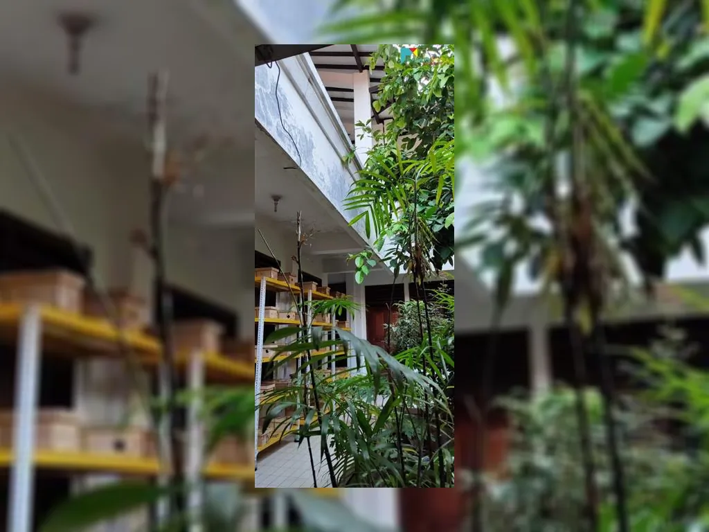 Ruma dijalan surya sumantri Bandung (26).jpeg