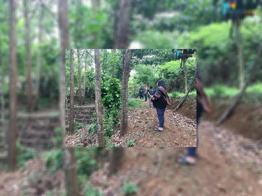 di jual tanah di sagalaherang subang (7).jpeg