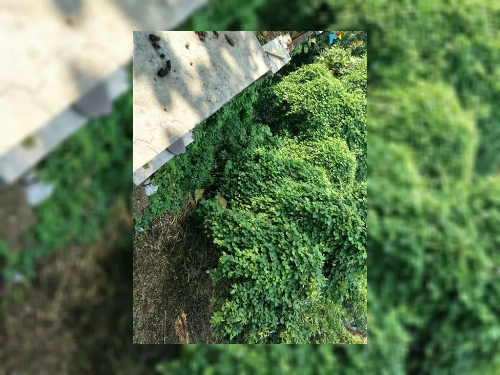 jual tanah di cigadung raya barat (11).jpeg