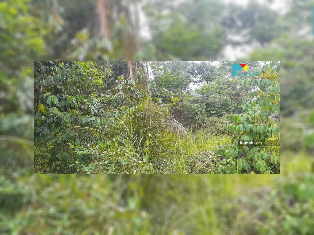 Tanah di subang (7).jpg