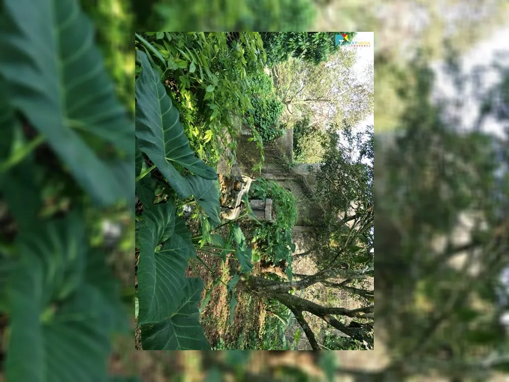 jual tanah di cigadung raya barat (6).jpeg