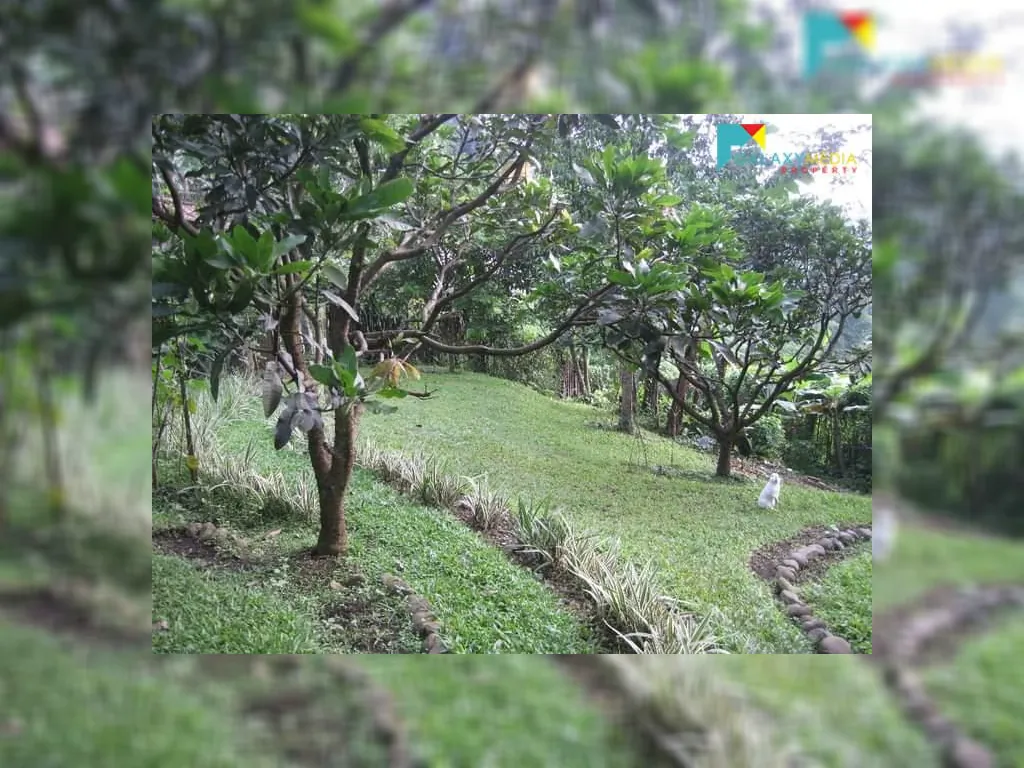 jual rumah joglo di jalan dago mainroad (5).jpeg