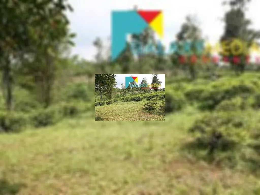 Tanah di subang (6).jpg