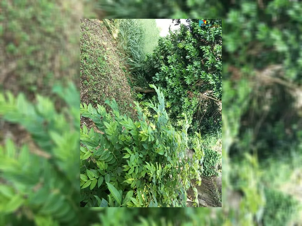 jual tanah di cigadung raya barat (13).jpeg