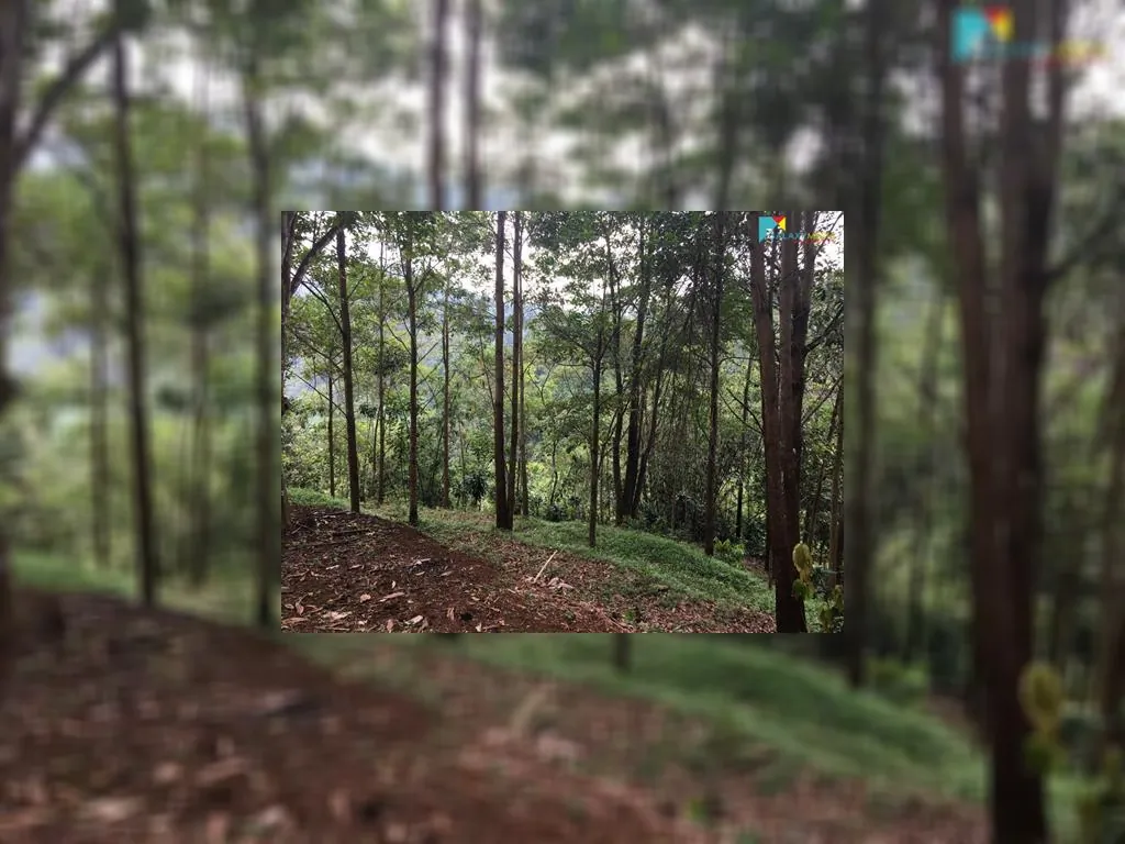 di jual tanah di sagalaherang subang (4).jpeg