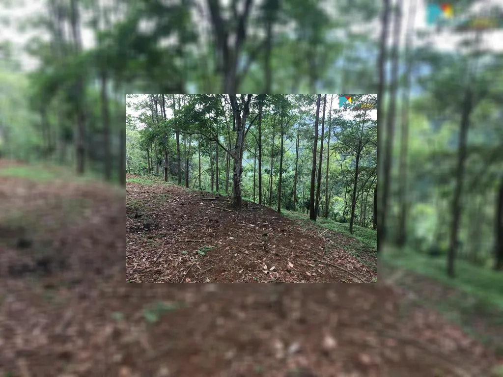 di jual tanah di sagalaherang subang (6).jpeg