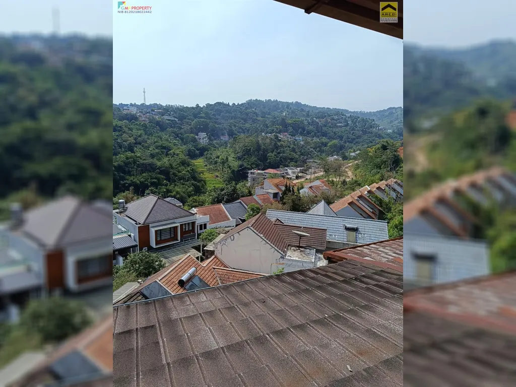 WhatsApp Image 2024-08-08 at 12.30.00.jpeg