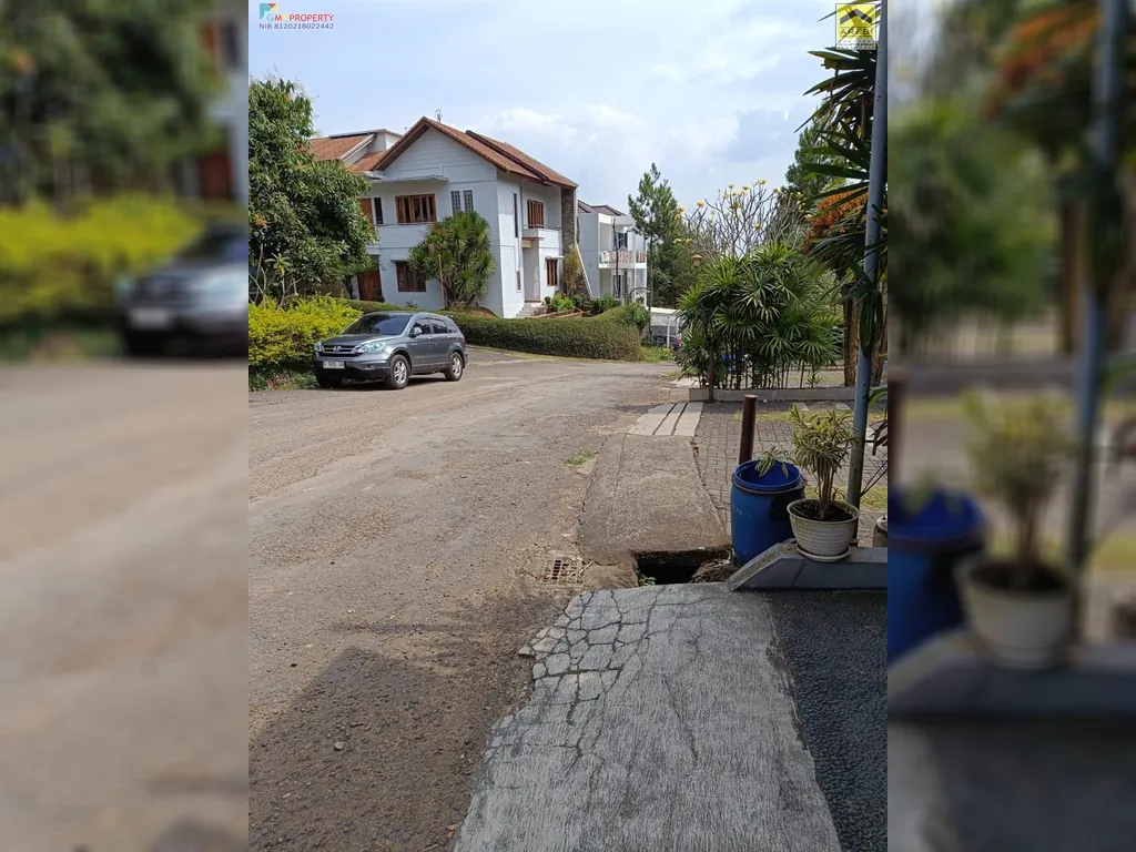 WhatsApp Image 2024-08-08 at 12.31.13.jpeg