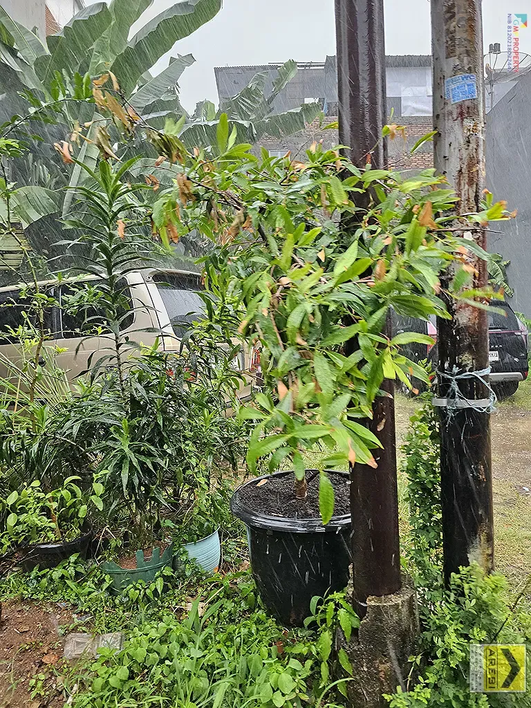 Uploaded file: 20250929_130304