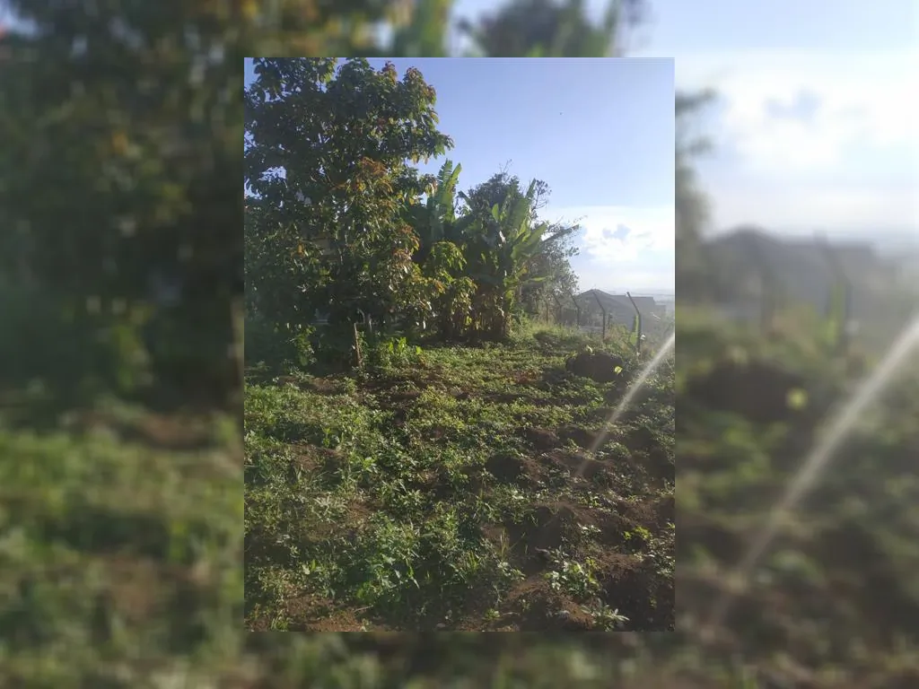 Dijual Tanah Murah View Gunung Manglayang (11).jpeg