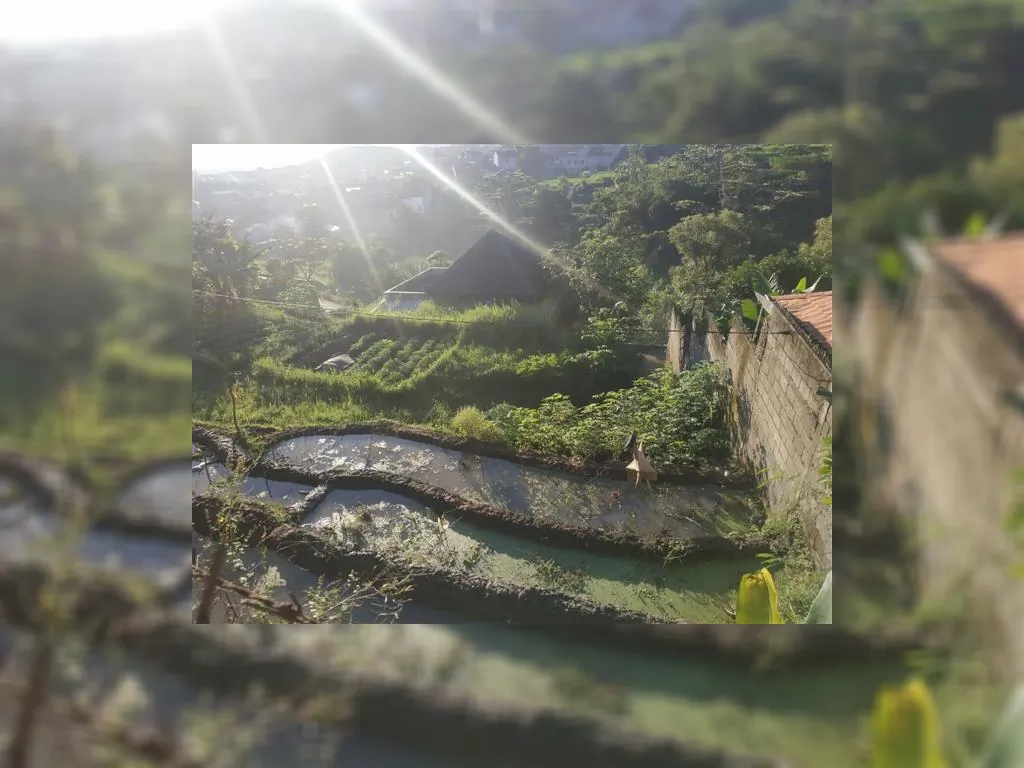 Dijual Tanah Murah View Gunung Manglayang (3).jpeg