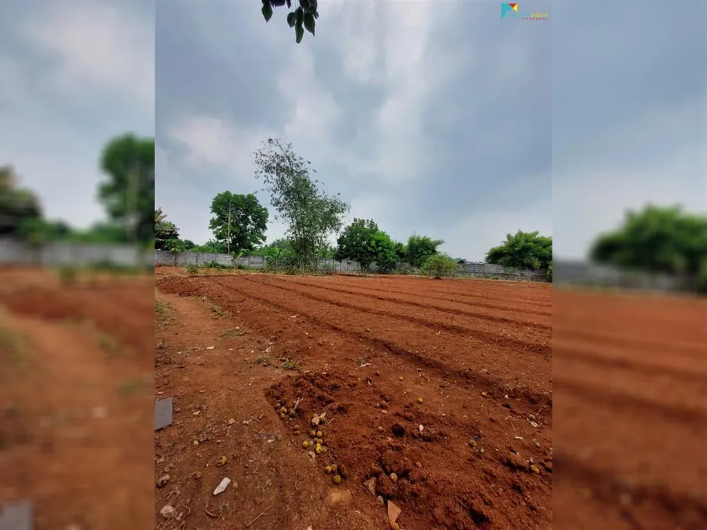 WhatsApp Image 2021-10-14 at 06.26.19.jpeg