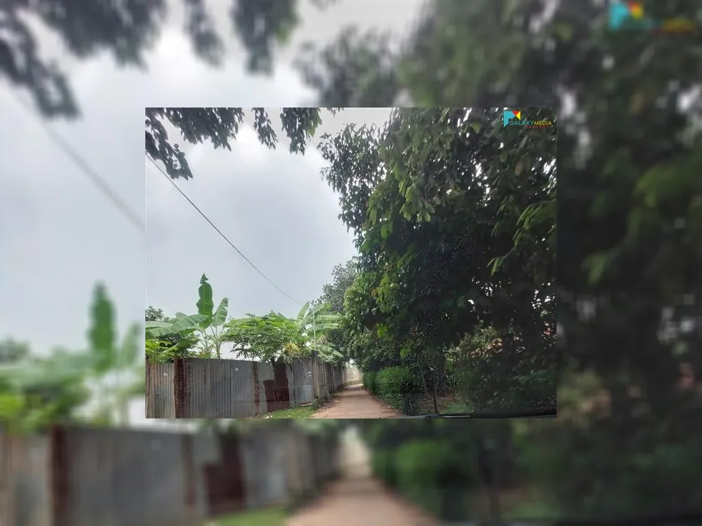 WhatsApp Image 2021-10-08 at 11.39.18.jpeg