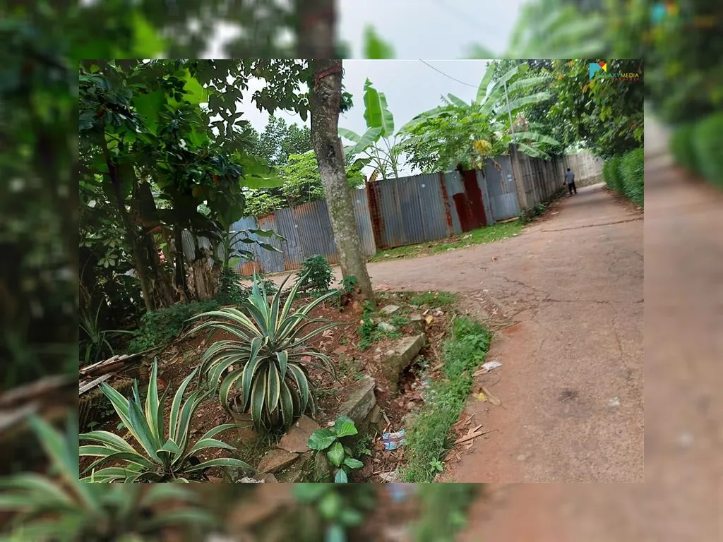 WhatsApp Image 2021-10-14 at 06.26.17.jpeg