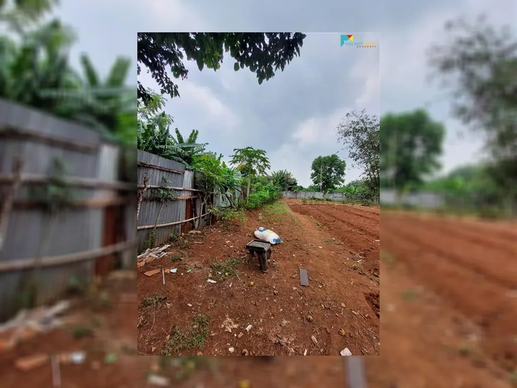 WhatsApp Image 2021-10-14 at 06.26.18.jpeg