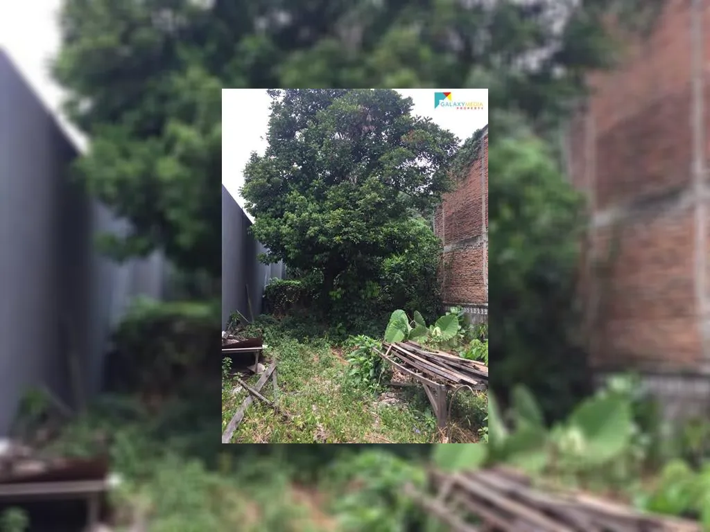 WhatsApp Image 2020-09-23 at 10.13.02 (3).jpeg