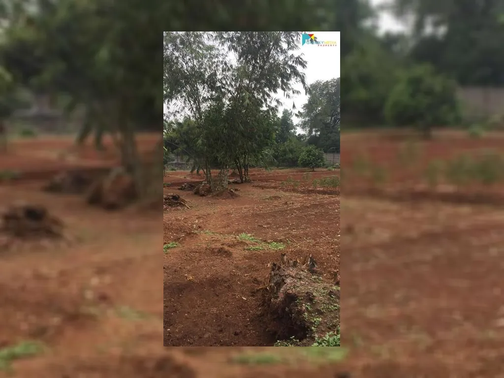 WhatsApp Image 2021-10-08 at 11.22.09.jpeg