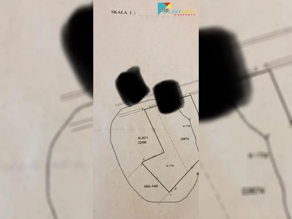 WhatsApp Image 2021-08-23 at 11.47.12.jpeg