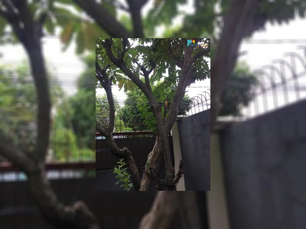 WhatsApp Image 2020-09-23 at 10.13.02 (4).jpeg