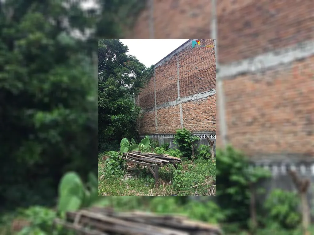 WhatsApp Image 2020-09-23 at 10.13.02 (2).jpeg