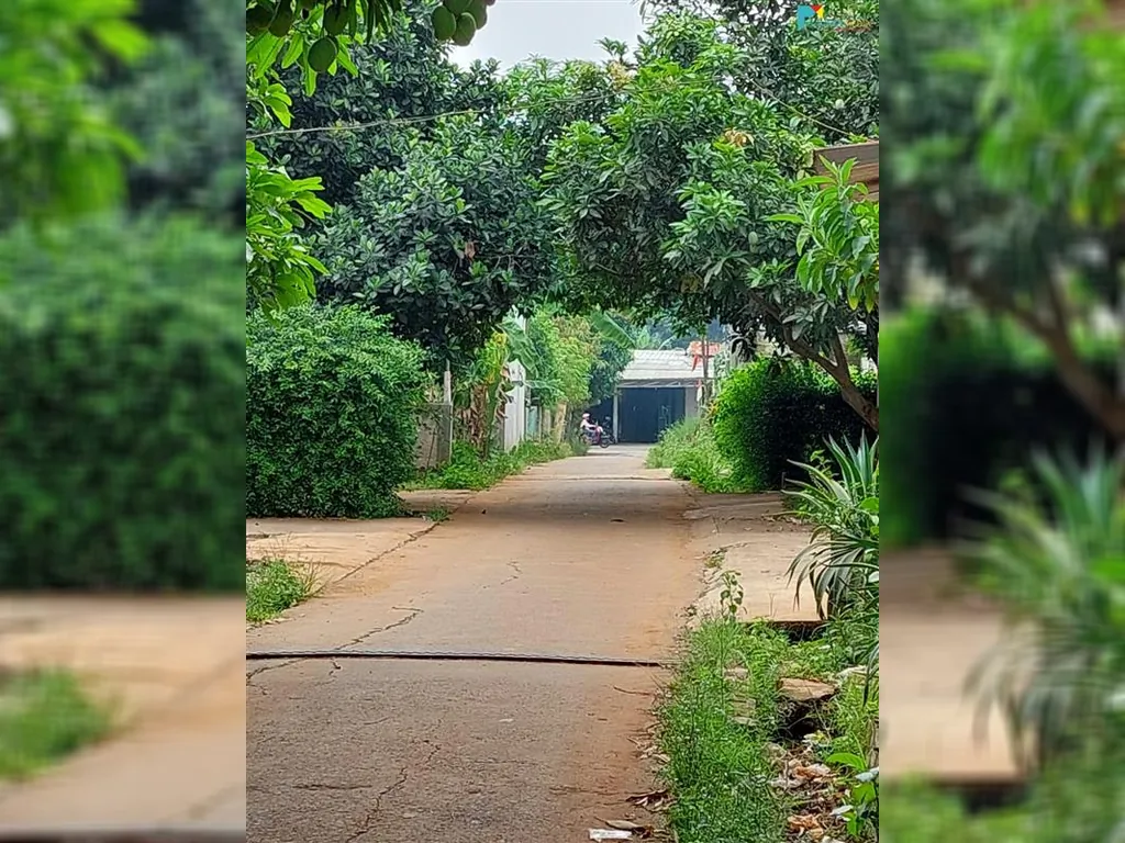 WhatsApp Image 2021-10-14 at 06.26.17 (1).jpeg