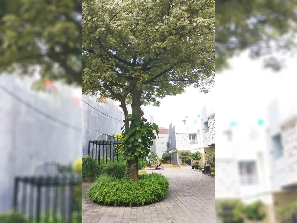 WhatsApp Image 2023-06-13 at 16.01.51.jpeg