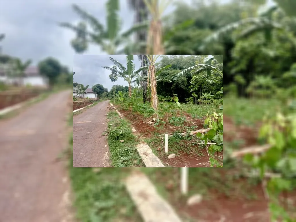 Tanah Strqtegis Di Majalengka Cikoneng Sukahaji