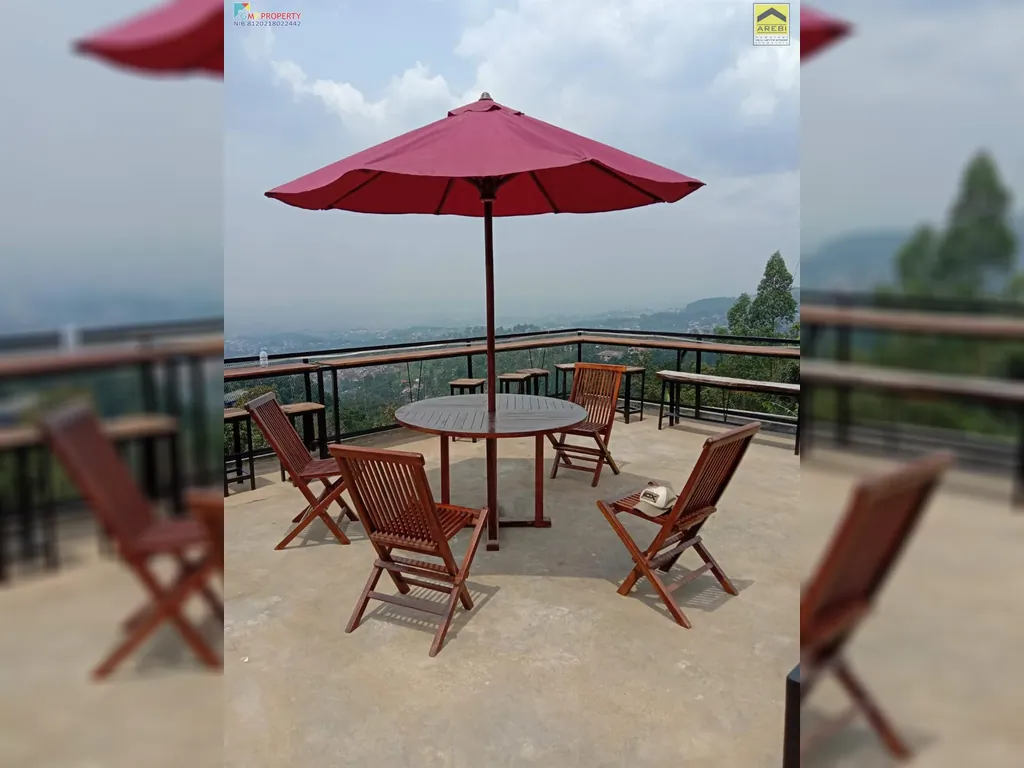 WhatsApp Image 2024-08-13 at 12.51.08 (1).jpeg