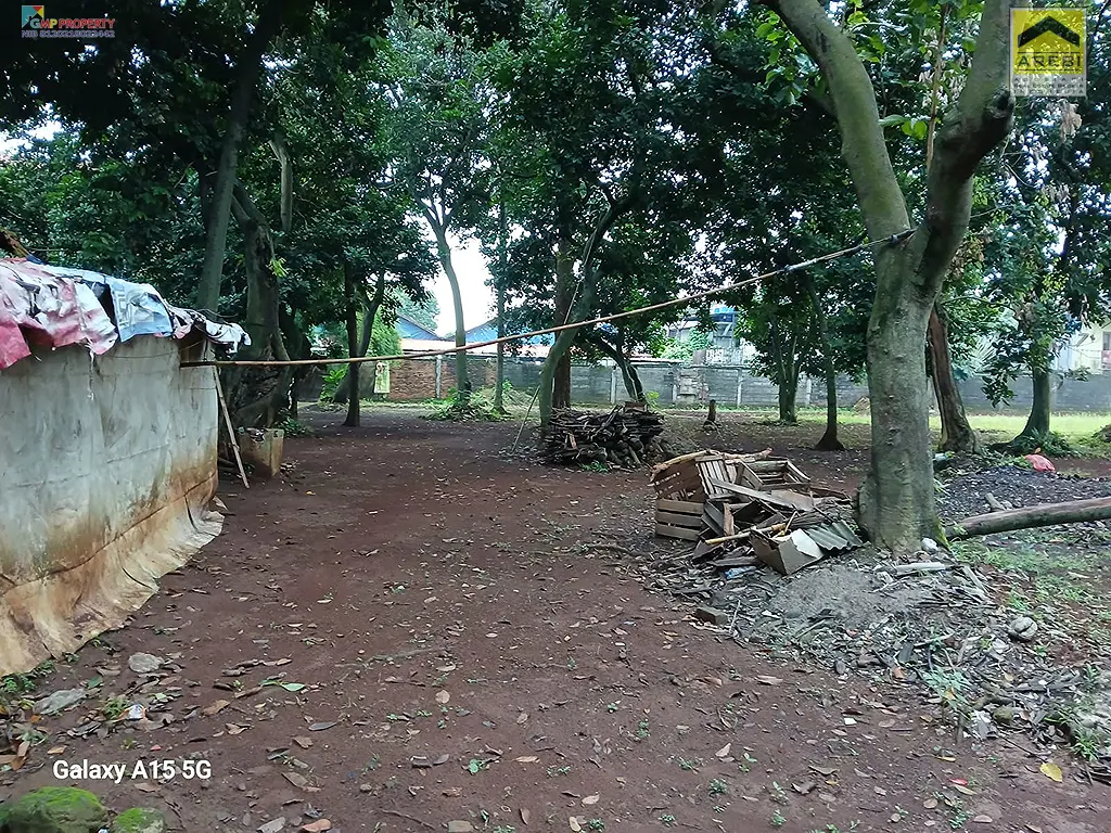 Uploaded file: 1000048535