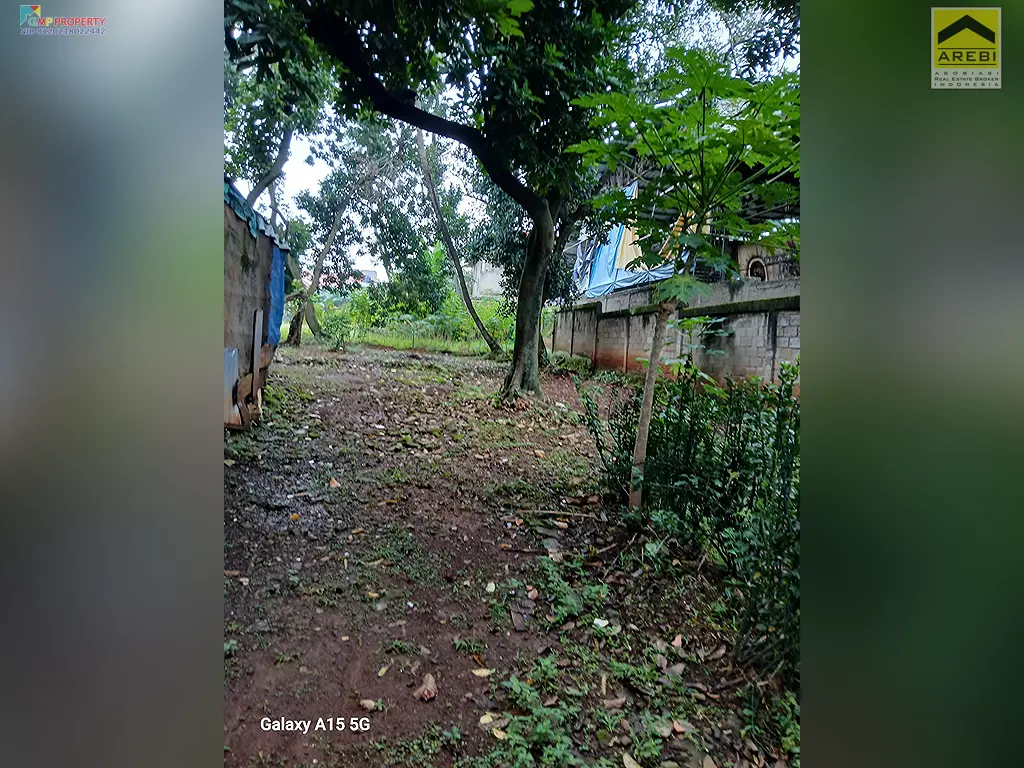 Uploaded file: 1000048540