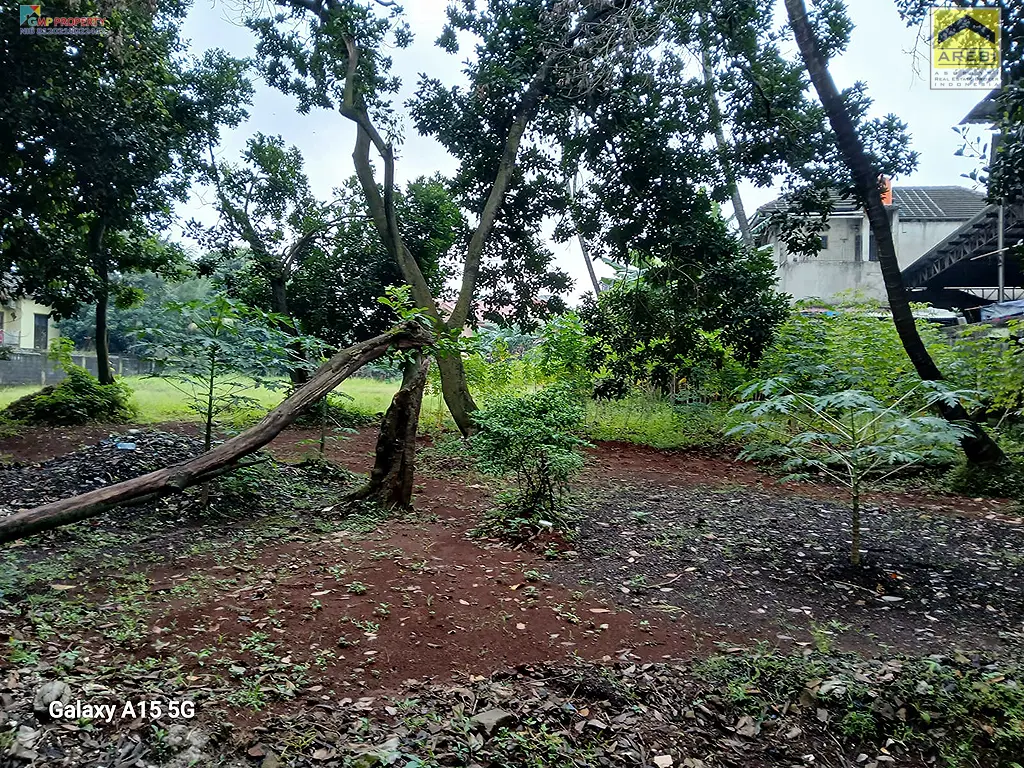 Uploaded file: 1000048539