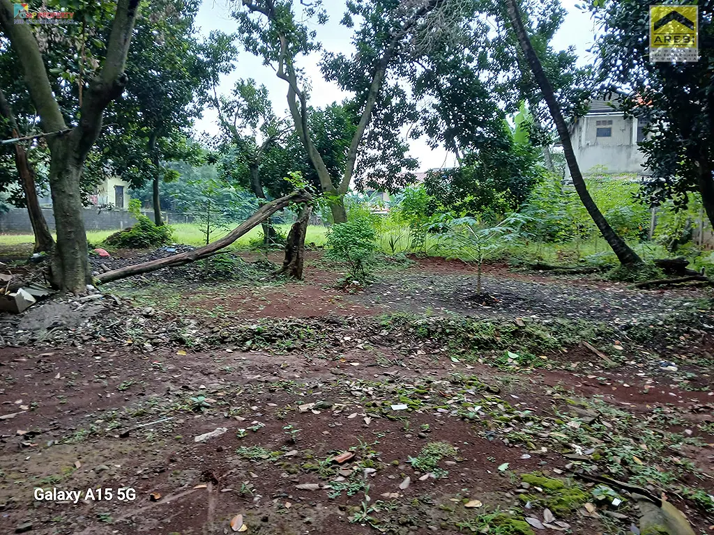 Uploaded file: 1000048537